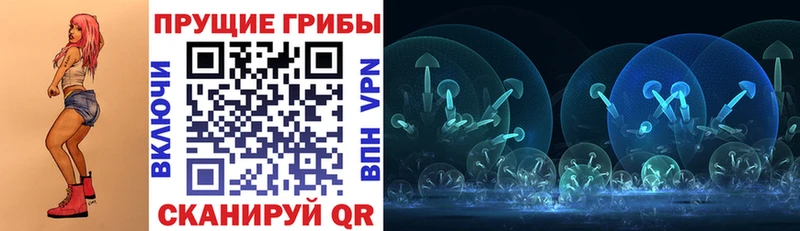 Галлюциногенные грибы MAGIC MUSHROOMS  Петушки 